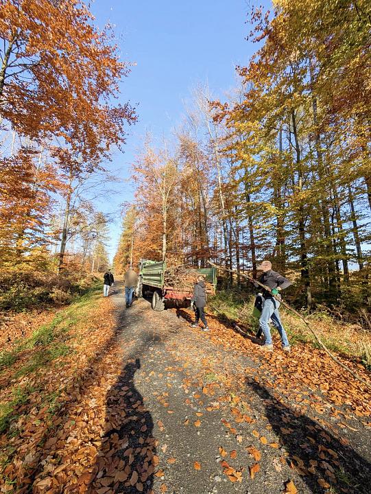 Bild: 20251129-171431.jpg